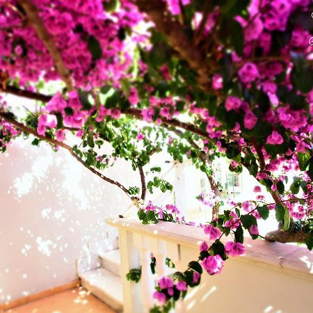 Casamare Hotel サン·ヴィンチェンツォ エクステリア 写真