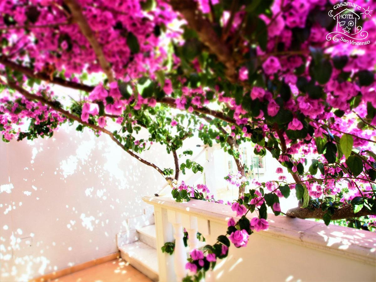 Casamare Hotel サン·ヴィンチェンツォ エクステリア 写真